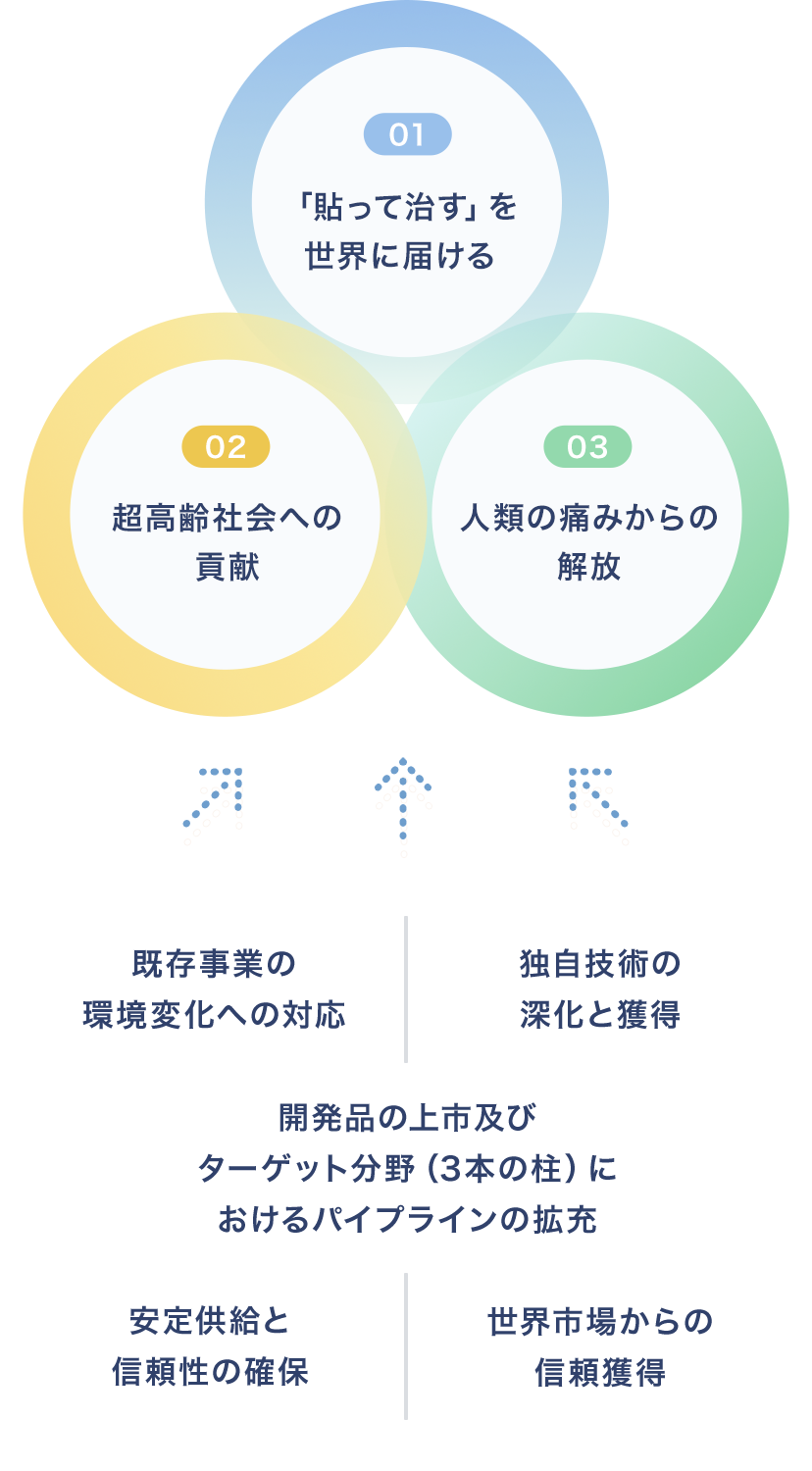 1.「貼って治す」を世界に届ける　2.超高齢社会への貢献　3.人類の痛みからの解放／既存事業の環境変化への対応／独自技術の深化と獲得／開発品の上市及びターゲット分野（3本の柱）におけるパイプラインの拡充／安定供給と信頼性の確保／世界市場からの信頼獲得