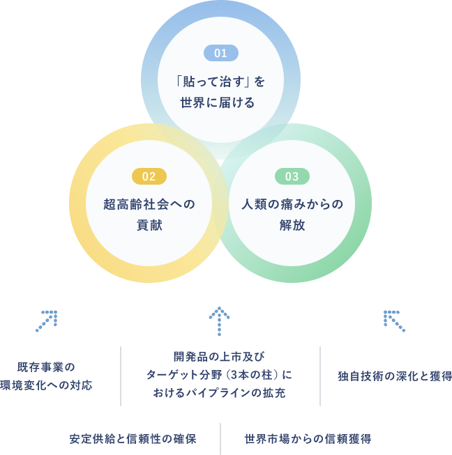 1.「貼って治す」を世界に届ける　2.超高齢社会への貢献　3.人類の痛みからの解放／既存事業の環境変化への対応／独自技術の深化と獲得／開発品の上市及びターゲット分野（3本の柱）におけるパイプラインの拡充／安定供給と信頼性の確保／世界市場からの信頼獲得